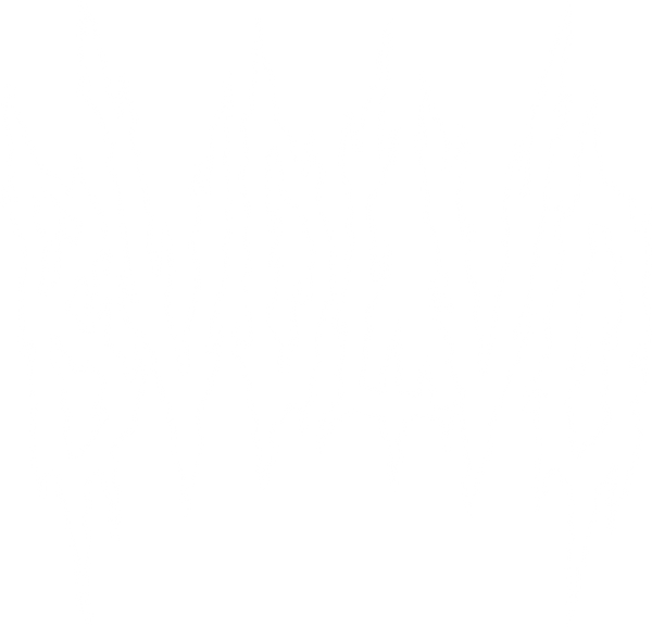 BVDLVD
